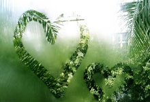 天涯论坛神贴：极品天意玩家的大神操作