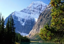 标题这段标题50字以内符合要求，说说天涯10大诡异神贴这些帖子在网上疯传大家看了都惊掉大牙真正是脑洞大开的奇葩故事。